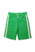 A Green Shorts from Crewcuts in size 4T for boy. (Front View)