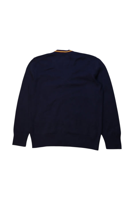 A Navy Cardigans from Polo Ralph Lauren in size 6T for neutral. (Back View)