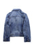 A Blue Lightweight Jackets from Polo Ralph Lauren in size 5T for neutral. (Back View)