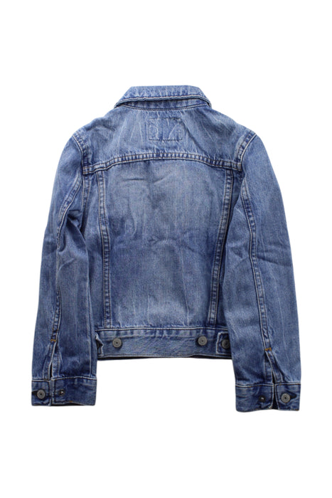 A Blue Lightweight Jackets from Polo Ralph Lauren in size 5T for neutral. (Back View)