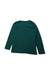 A Green Long Sleeve T Shirts from Crewcuts in size 4T for girl. (Back View)