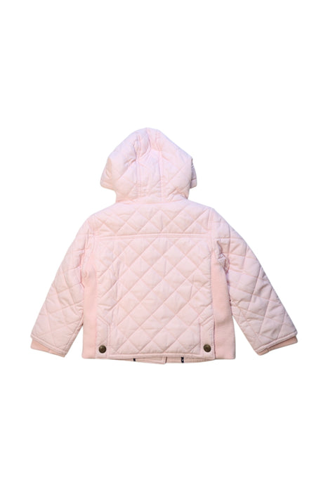 A Pink Puffer/Quilted Coats & Outerwear from Tommy Hilfiger in size 12-18M for girl. (Back View)