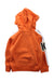 A Orange Hooded Sweatshirts from Polo Ralph Lauren in size 2T for boy. (Back View)