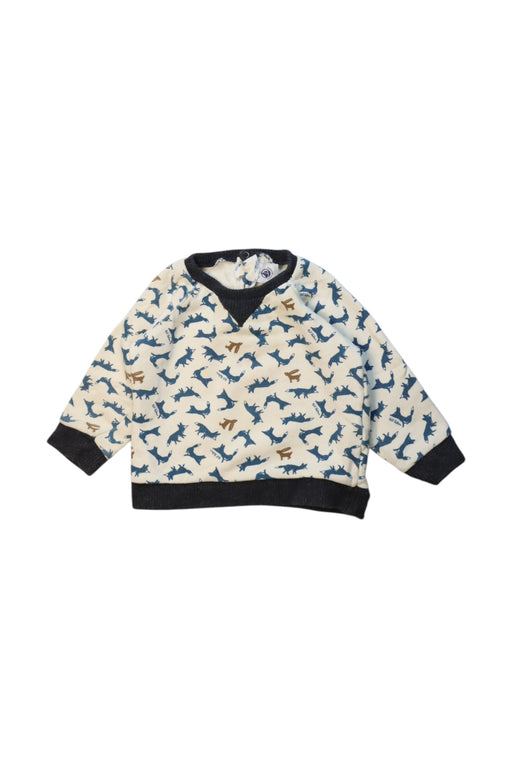 A Multicolour Crewneck Sweatshirts from Petit Bateau in size 12-18M for boy. (Front View)