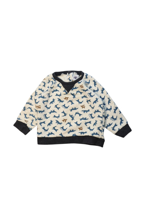 A Multicolour Crewneck Sweatshirts from Petit Bateau in size 12-18M for boy. (Front View)