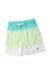 A Multicolour Shorts from Polo Ralph Lauren in size 6T for boy. (Front View)