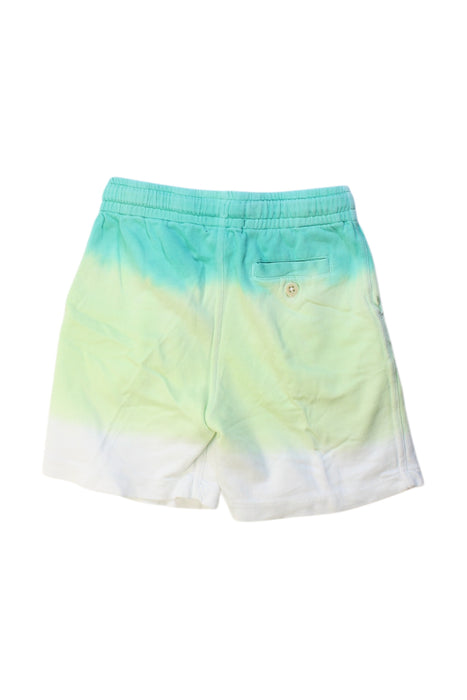 A Multicolour Shorts from Polo Ralph Lauren in size 6T for boy. (Back View)