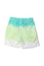 A Multicolour Shorts from Polo Ralph Lauren in size 6T for boy. (Back View)