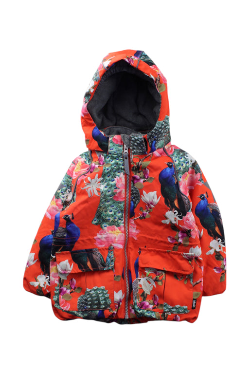 A Multicolour Puffer/Quilted Coats & Outerwear from Molo in size 3T for neutral. (Front View)