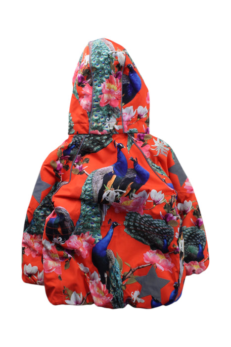 A Multicolour Puffer/Quilted Coats & Outerwear from Molo in size 3T for neutral. (Back View)