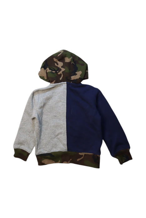 A Multicolour Hooded Sweatshirts from Polo Ralph Lauren in size 3T for boy. (Back View)