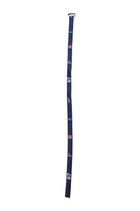 A Navy Belts from Polo Ralph Lauren in size 6T for boy. (Front View)