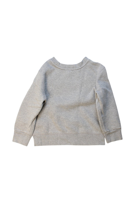 A Grey Crewneck Sweatshirts from Polo Ralph Lauren in size 3T for neutral. (Back View)