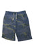 A Multicolour Shorts from Crewcuts in size 10Y for boy. (Front View)