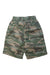 A Green Shorts from Crewcuts in size 5T for boy. (Back View)