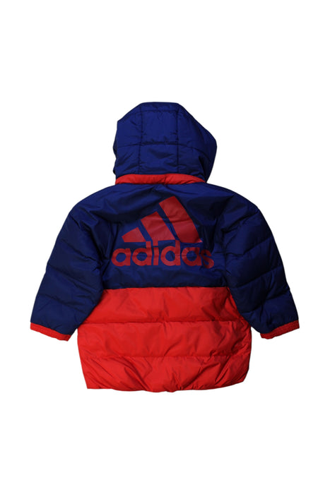 A Multicolour Puffer/Quilted Coats & Outerwear from Adidas in size 2T for boy. (Back View)