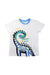 A Multicolour Short Sleeve T Shirts from Chicco in size 5T for boy. (Front View)