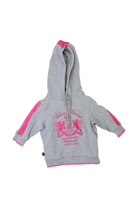 A Grey Hooded Sweatshirts from Nicholas & Bears in size 6-12M for girl. (Front View)
