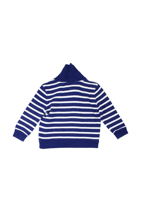 A Blue Hooded Sweatshirts from Polo Ralph Lauren in size 12-18M for boy. (Back View)