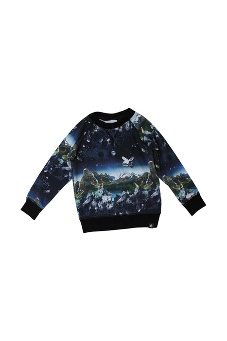 A Multicolour Crewneck Sweatshirts from Molo in size 2T for boy. (Front View)