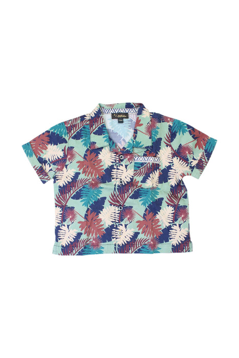 A Multicolour Short Sleeve Shirts from Velveteen in size 12-18M for boy. (Front View)