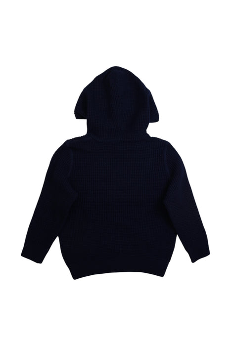 A Navy Hooded Sweatshirts from Polo Ralph Lauren in size 4T for boy. (Back View)