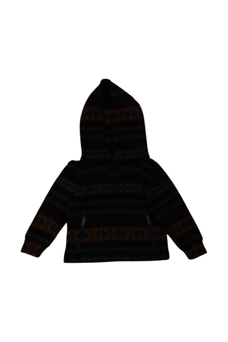 A Multicolour Hooded Sweatshirts from Polo Ralph Lauren in size 2T for boy. (Front View)