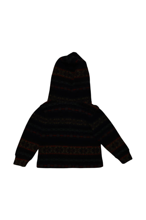 A Multicolour Hooded Sweatshirts from Polo Ralph Lauren in size 2T for boy. (Back View)