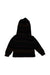 A Multicolour Hooded Sweatshirts from Polo Ralph Lauren in size 2T for boy. (Back View)