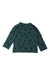A Green Crewneck Sweatshirts from Hanna Andersson in size 18-24M for girl. (Back View)