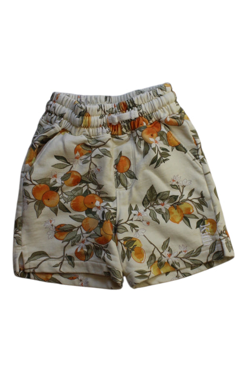 A Multicolour Shorts from Kith in size 4T for boy. (Front View)