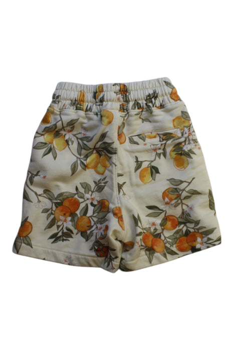 A Multicolour Shorts from Kith in size 4T for boy. (Back View)
