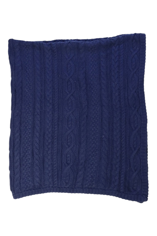 A Navy Blankets from Ralph Lauren in size O/S for neutral. (Front View)