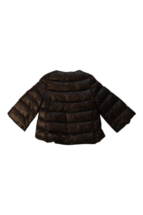 A Black Puffer/Quilted Coats & Outerwear from Nicholas & Bears in size 6T for girl. (Back View)