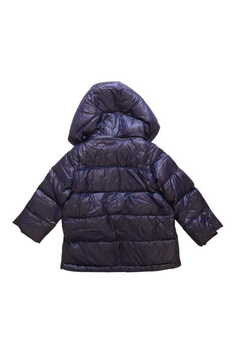 A Navy Puffer/Quilted Coats & Outerwear from Nicholas & Bears in size 3T for girl. (Back View)