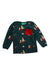 A Multicolour Long Sleeve Tops from Little Green Radicals in size 12-18M for boy. (Front View)