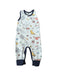 A Multicolour Sleeveless Rompers from Monica + Andy in size 6-12M for neutral. (Front View)