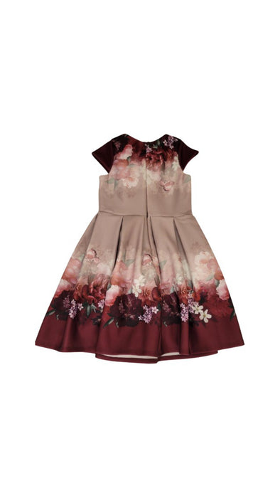 A Burgundy Short Sleeve Dresses from Lipsy London in size 8Y for girl. (Back View)