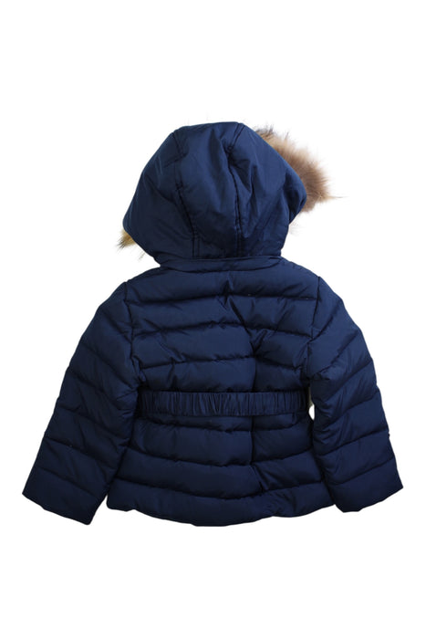 A Navy Puffer/Quilted Coats & Outerwear from Nicholas & Bears in size 3T for girl. (Back View)