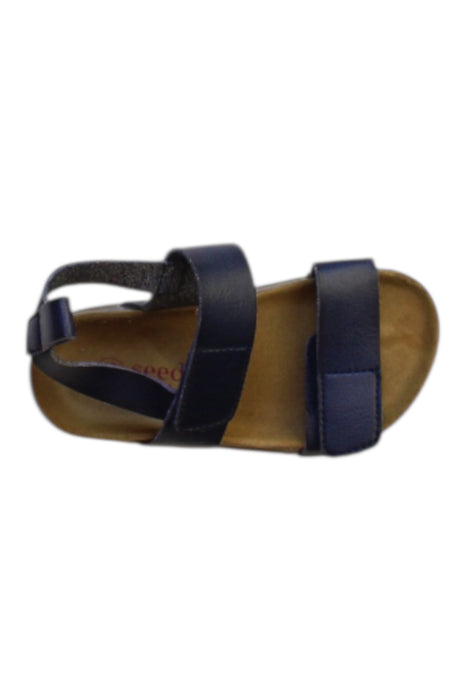 A Navy Sandals from Seed in size 4T for boy. (Front View)