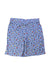 A Multicolour Shorts from Polo Ralph Lauren in size 10Y for boy. (Back View)