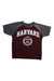 A Burgundy Short Sleeve T Shirts from Garb Inc in size 2T for boy. (Front View)