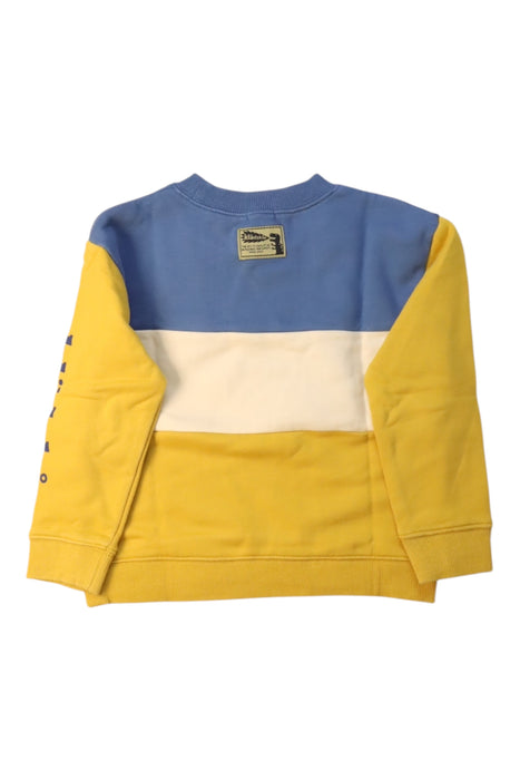 A Multicolour Crewneck Sweatshirts from Kladskap in size 5T for neutral. (Back View)