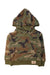 A Multicolour Hooded Sweatshirts from Polo Ralph Lauren in size 3T for boy. (Front View)