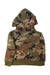 A Multicolour Hooded Sweatshirts from Polo Ralph Lauren in size 3T for boy. (Back View)
