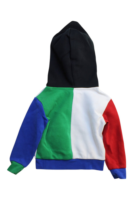 A Multicolour Hooded Sweatshirts from Polo Ralph Lauren in size 3T for boy. (Back View)