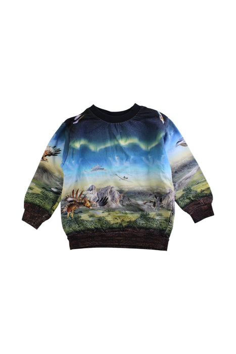 A Multicolour Crewneck Sweatshirts from Molo in size 4T for boy. (Front View)