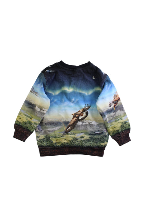 A Multicolour Crewneck Sweatshirts from Molo in size 4T for boy. (Back View)