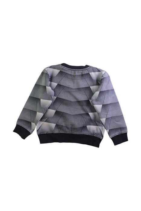 A Grey Crewneck Sweatshirts from Automobili Lamborghini in size 5T for neutral. (Back View)