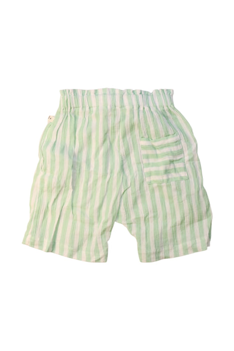 A Green Shorts from 1 + in the family in size 4T for girl. (Back View)